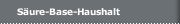 Säure-Base-Haushalt